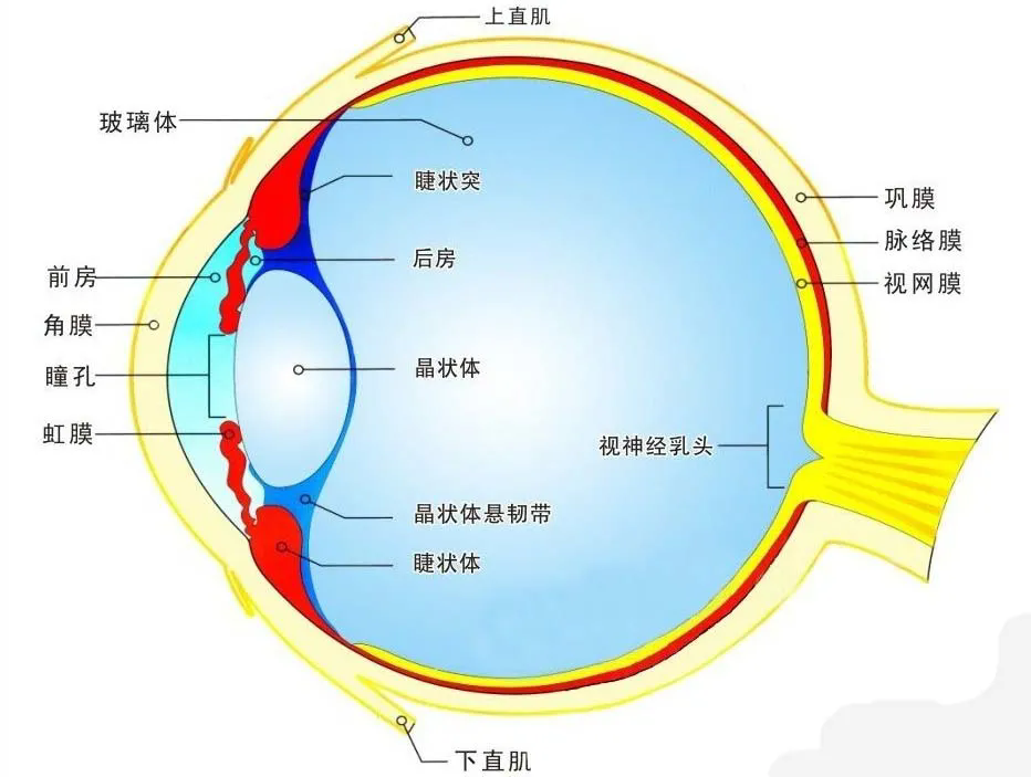 CMOS圖像傳感器技術(shù)及新應用
