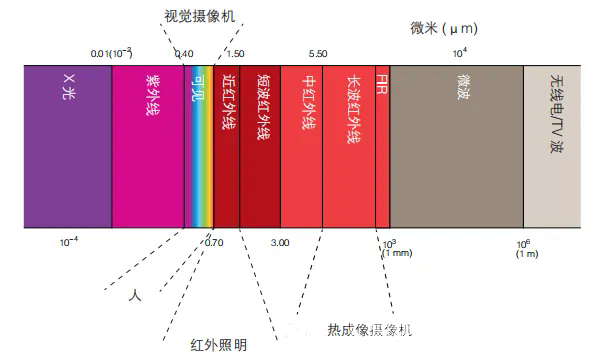 640.webp (2).png